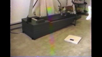 [+18 ~ Sexy Funny Girl]Diet Dog