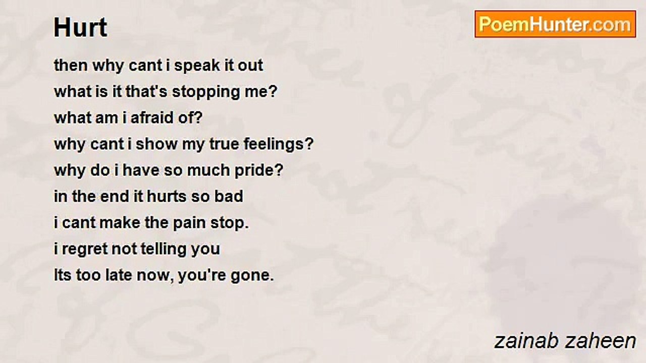 zainab zaheen - Hurt