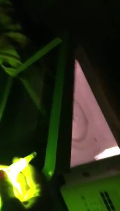 Mettre un stick lumineux dans un micro onde : explosion en plein visage... FAIL de débile!