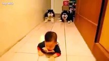 Baby Motivates Huskies To Crawl - Too Cute Video