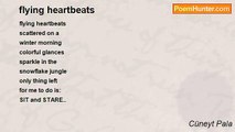 Cüneyt Pala - flying heartbeats