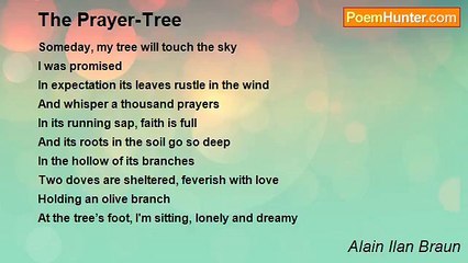 Alain Ilan Braun - The Prayer-Tree