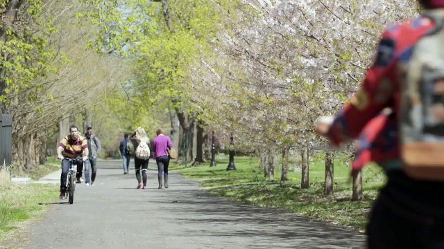 Girls : la bande annonce officielle de la saison 4