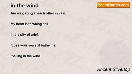 Vincent Silvertop - in the wind