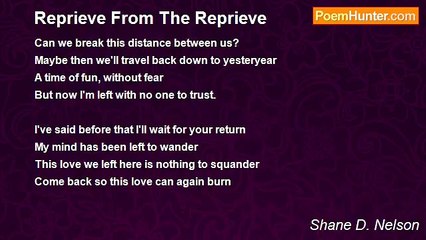 Shane D. Nelson - Reprieve From The Reprieve