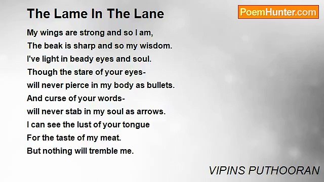 VIPINS PUTHOORAN - The Lame In The Lane