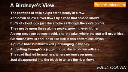 PAUL COLVIN - A Birdseye's View.