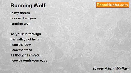 Dave Alan Walker - Running Wolf