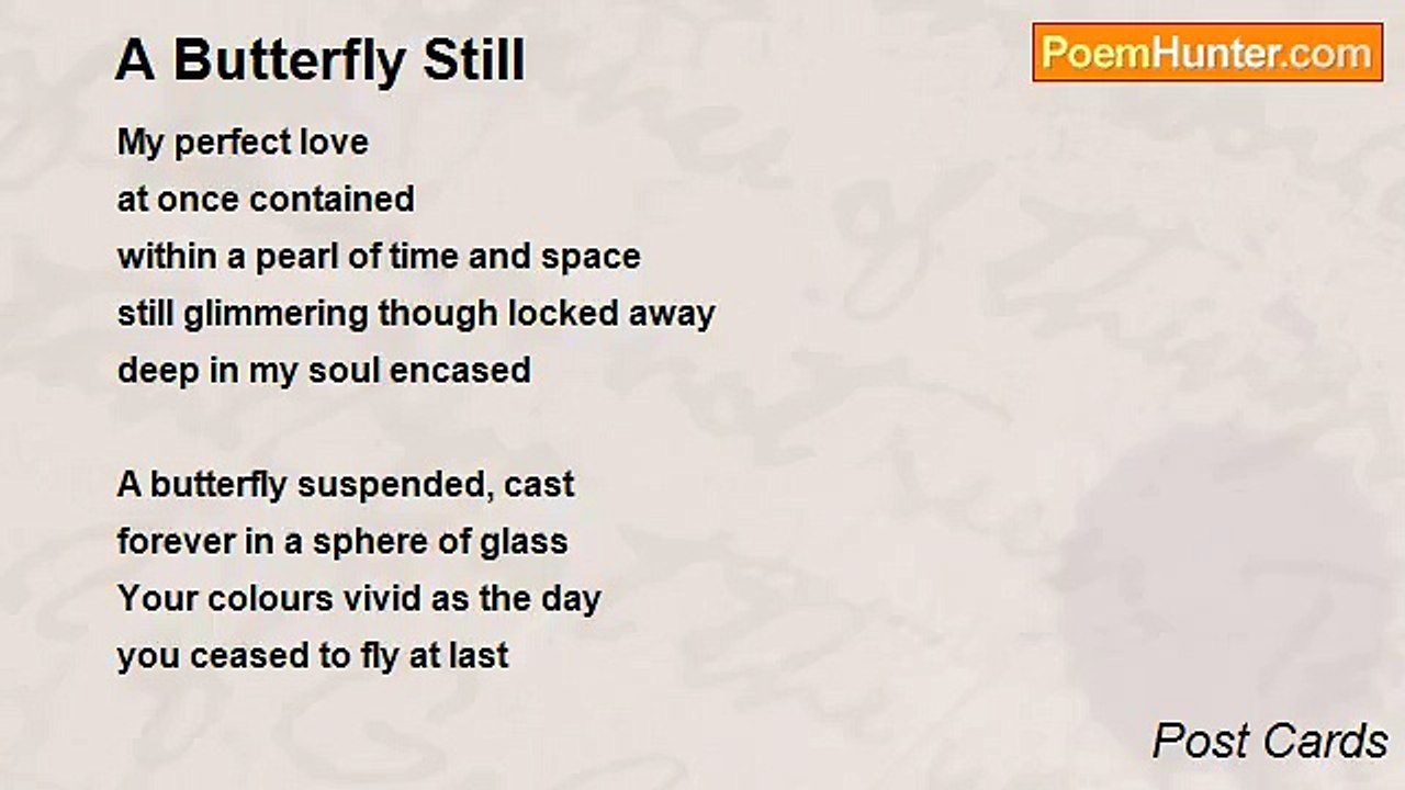 Post Cards - A Butterfly Still
