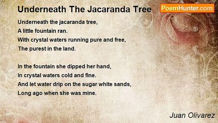 Juan Olivarez - Underneath The Jacaranda Tree