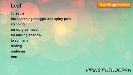 VIPINS PUTHOORAN - Leaf