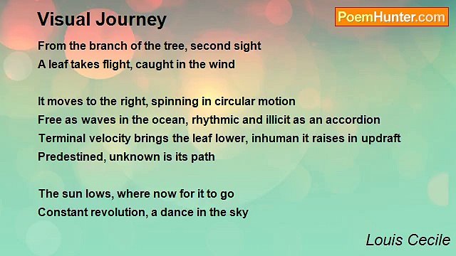 Louis Cecile - Visual Journey