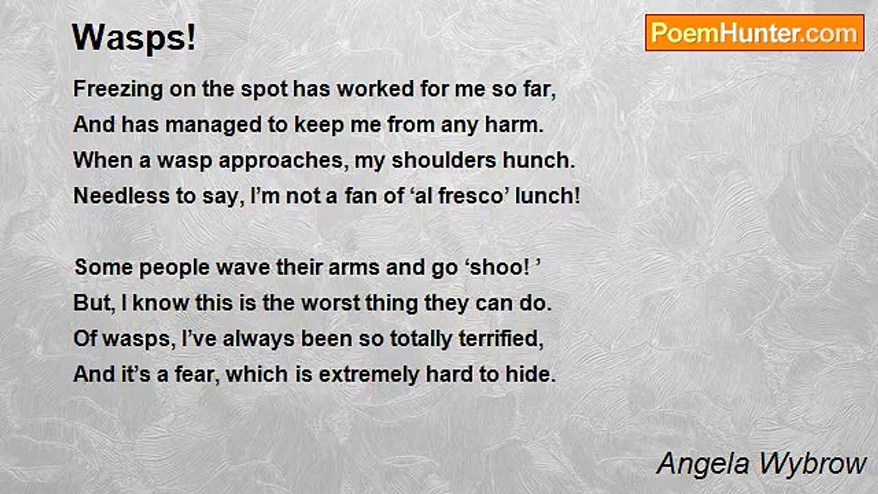 Angela Wybrow - Wasps!