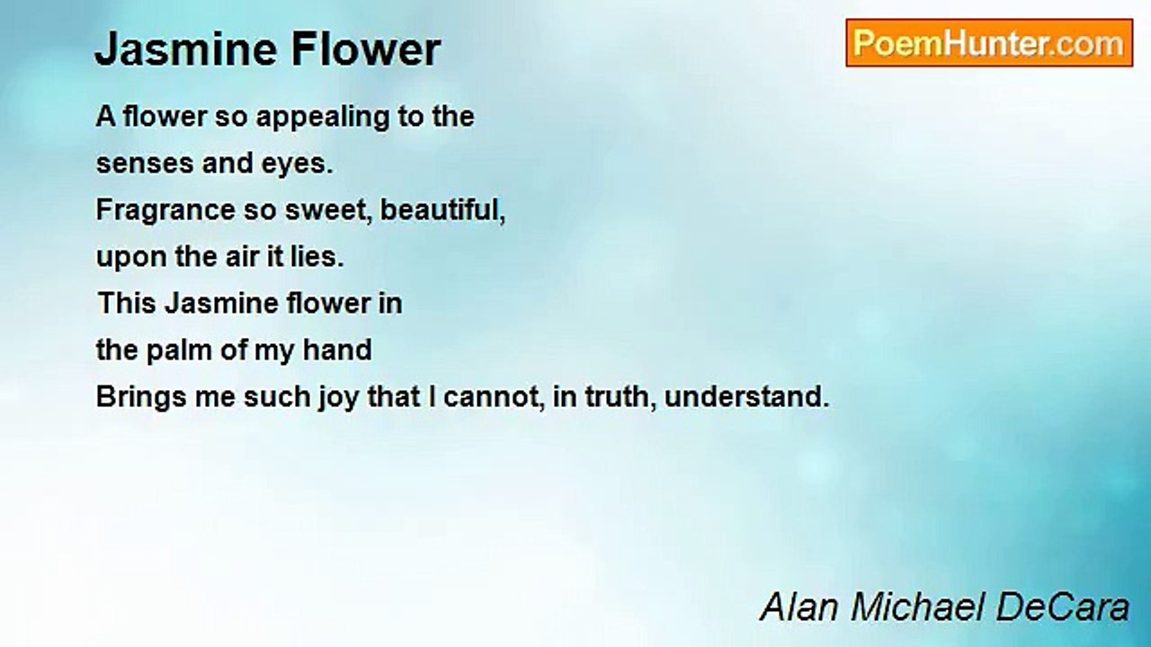 Alan Michael DeCara - Jasmine Flower