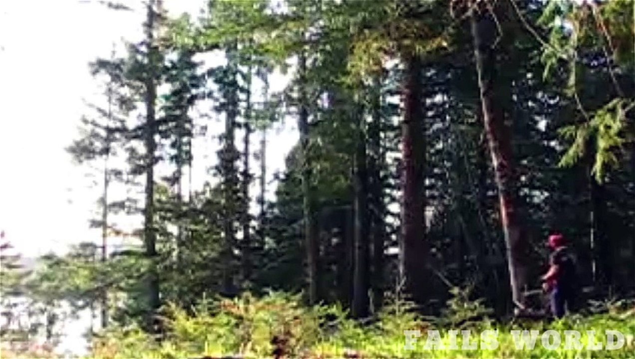 [+18 ~ Sexy Funny Girl]cutting a tree fail - Fails World