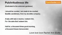 Love love love Rachel Ann Butler - Pulchritudinous life