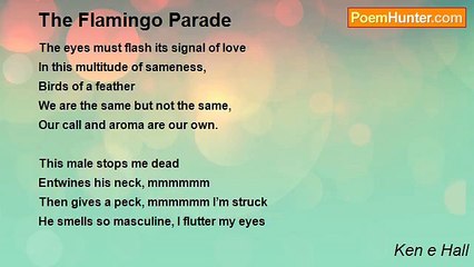 Ken e Hall - The Flamingo Parade
