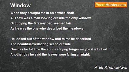 Aditi Khandelwal - Window