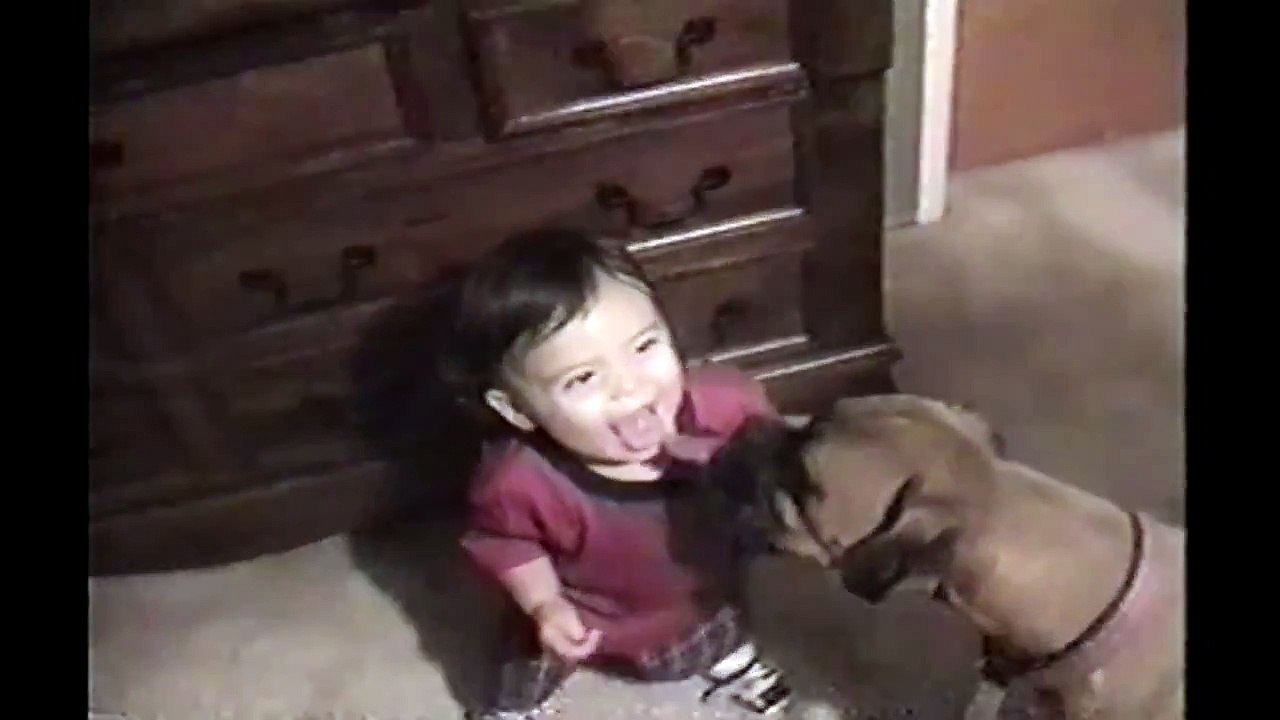 [+18 ~ Sexy Funny Girl]Dog Licks Baby's Tongue