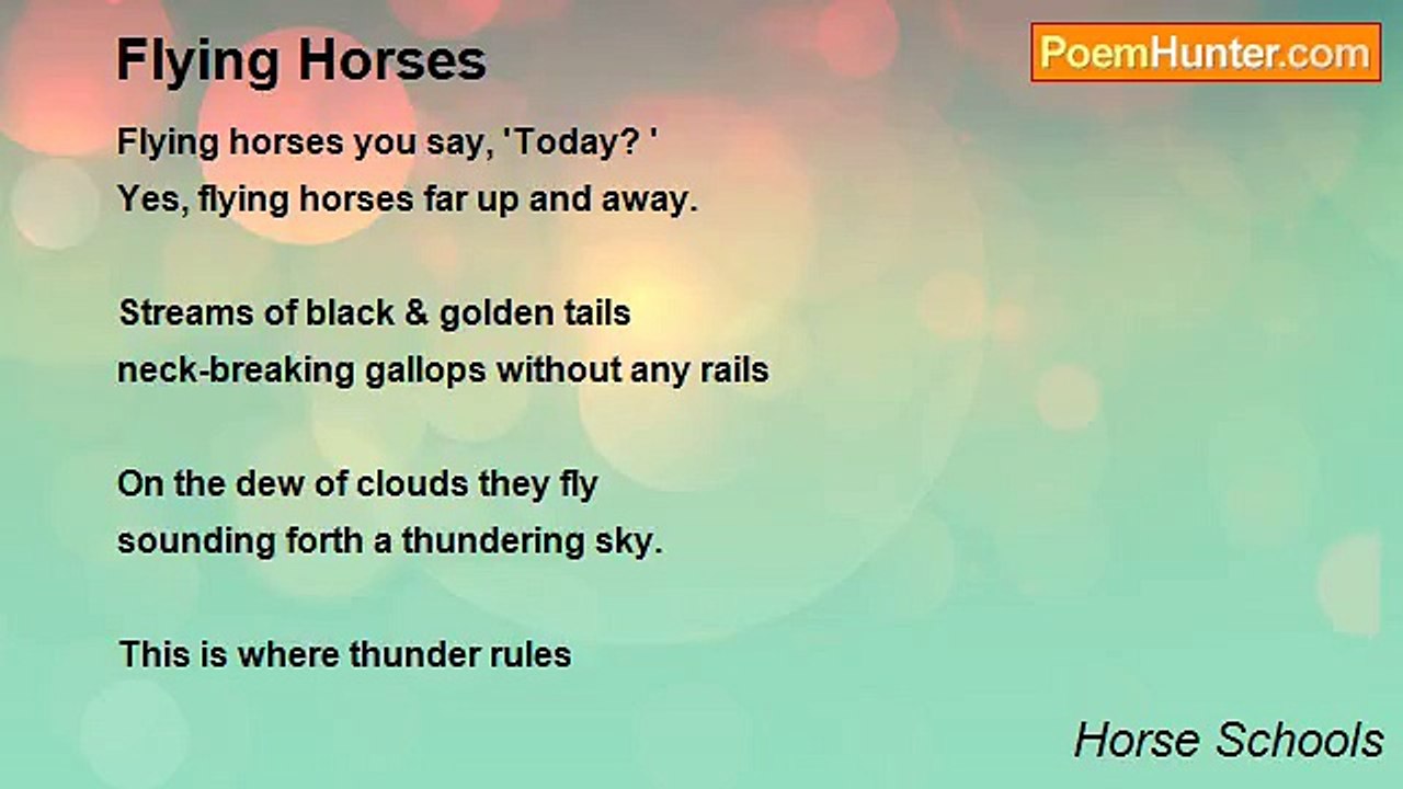 Horse Schools - Flying Horses