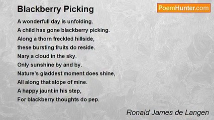 Ronald James de Langen - Blackberry Picking