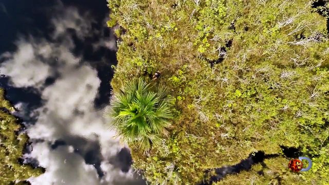 Man Eaten Alive Sneak Peek - Sun Dec 7 9-8c on Discovery