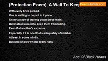 Ace Of Black Hearts - (Protection Poem)  A Wall To Keep