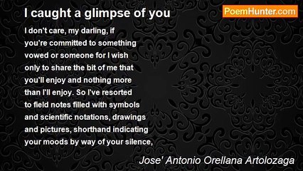 Jose' Antonio Orellana Artolozaga - I caught a glimpse of you