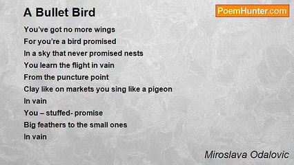 Miroslava Odalovic - A Bullet Bird