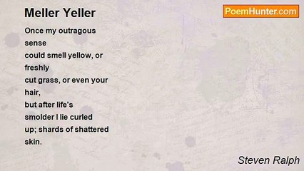 Steven Ralph - Meller Yeller