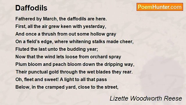 Lizette Woodworth Reese - Daffodils