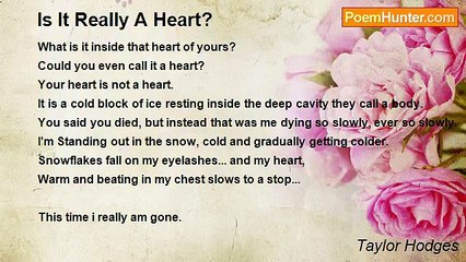 Taylor Hodges - Is It Really A Heart?