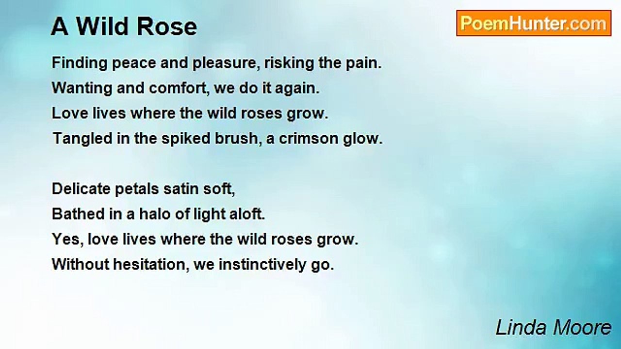 Linda Moore - A Wild Rose
