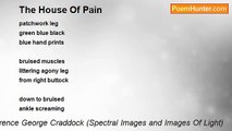 Terence George Craddock (Spectral Images and Images Of Light) - The House Of Pain