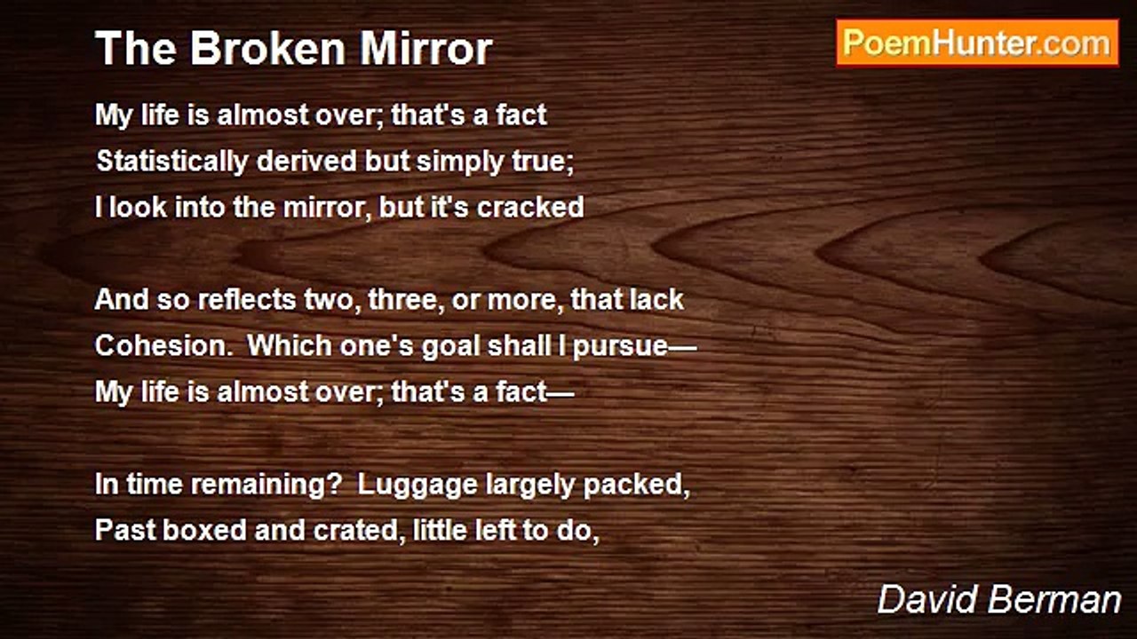 David Berman - The Broken Mirror