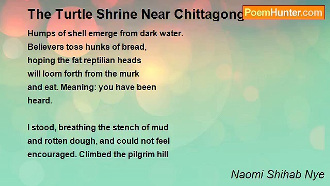 Naomi Shihab Nye - The Turtle Shrine Near Chittagong