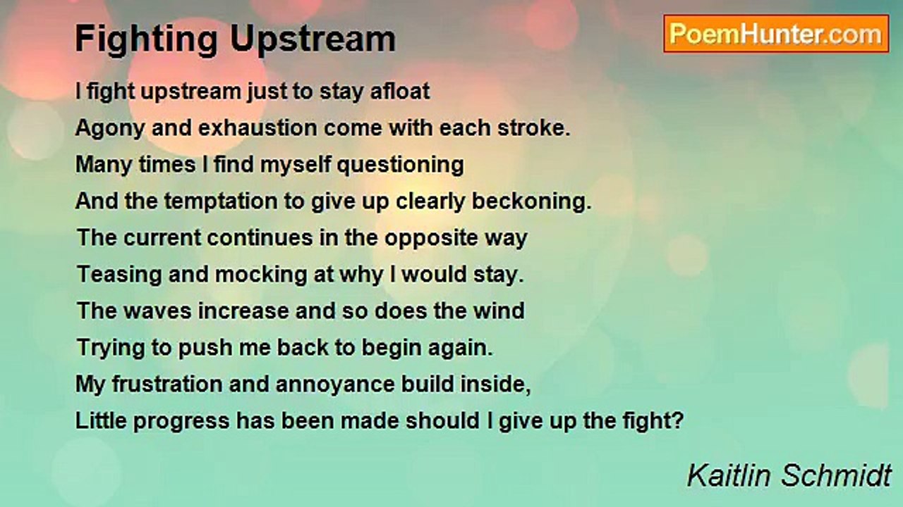 Kaitlin Schmidt - Fighting Upstream
