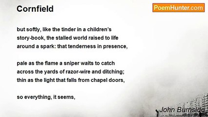 John Burnside - Cornfield