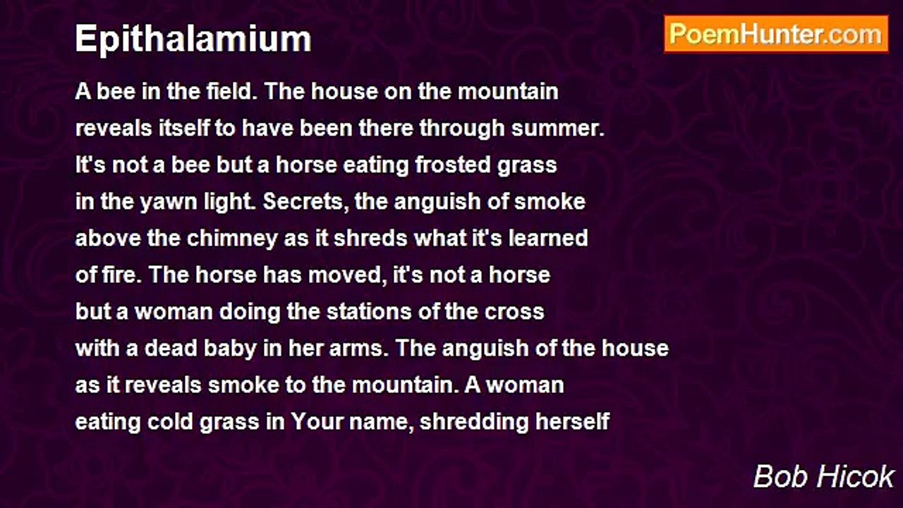Bob Hicok - Epithalamium