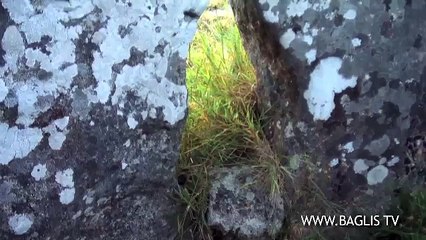 Solstice d'été sur le Cromlech de Carnac