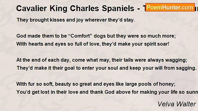 Velva Walter - Cavalier King Charles Spaniels - Tribute To Our Beautiful Gabrielle & Josephine - Cavalier Sisters