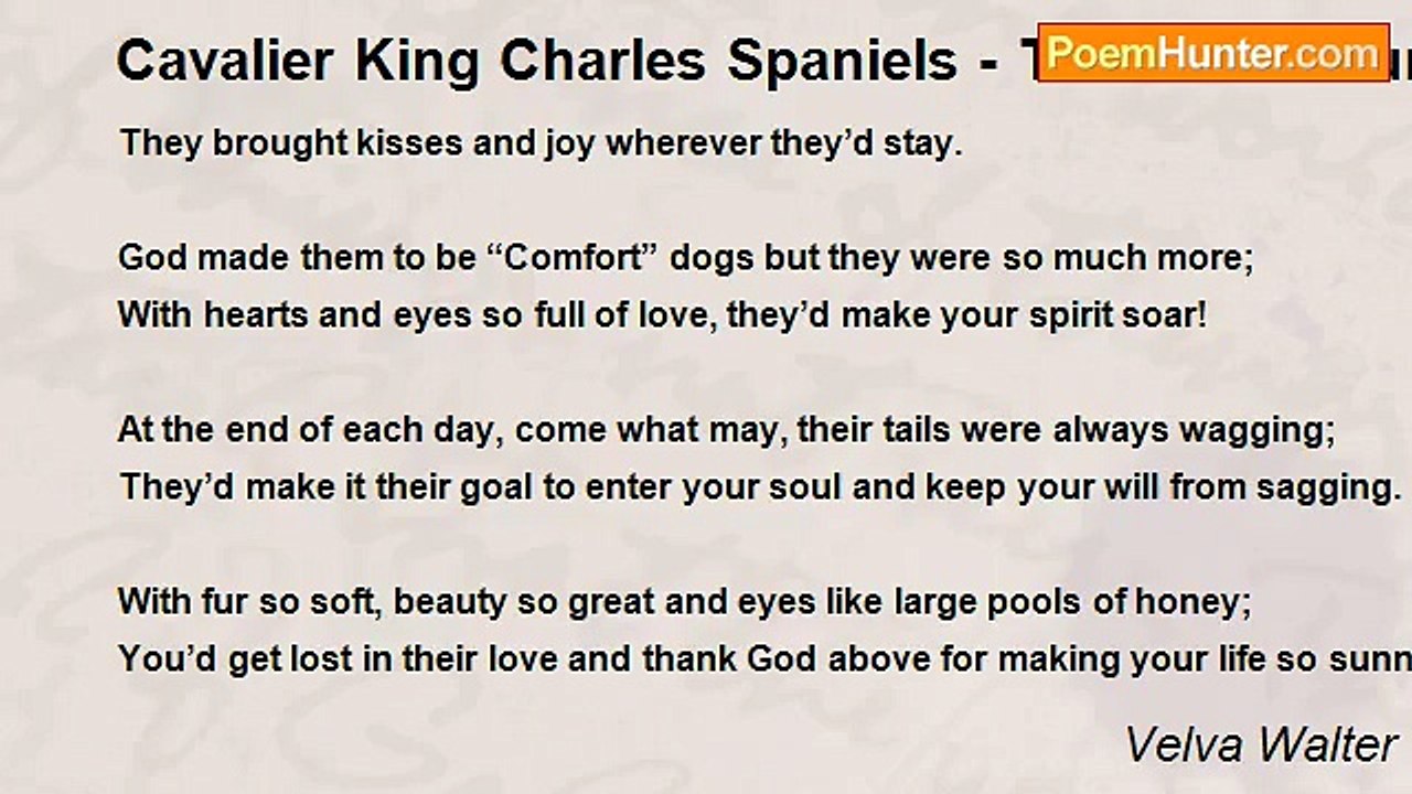 Velva Walter - Cavalier King Charles Spaniels - Tribute To Our Beautiful Gabrielle & Josephine - Cavalier Sisters