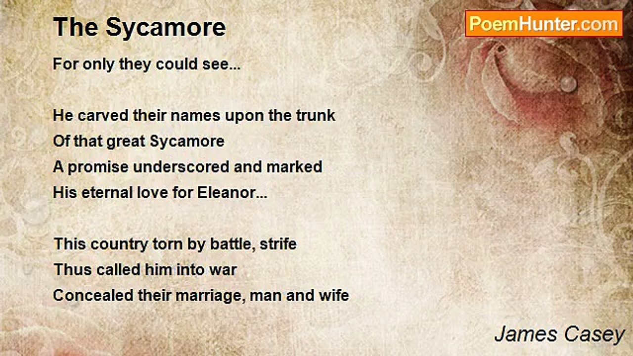 James Casey - The Sycamore