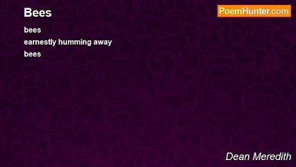 Dean Meredith - Bees