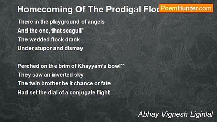 Abhay Vignesh Liginlal: Return of the Flock ✈️
