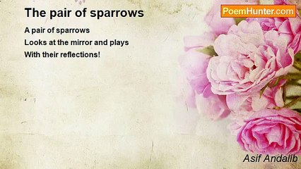 Asif Andalib - The pair of sparrows