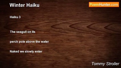 Tommy Stroller - Winter Haiku