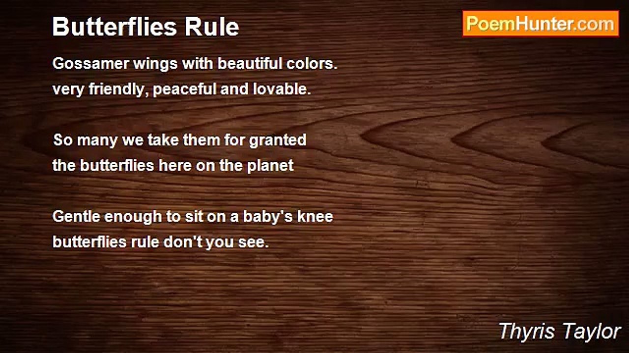 Thyris Taylor - Butterflies Rule