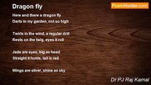 Dr PJ Raj Kamal - Dragon fly
