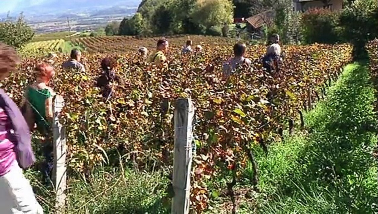 G L'INFO - 10 NOVEMBRE 2014